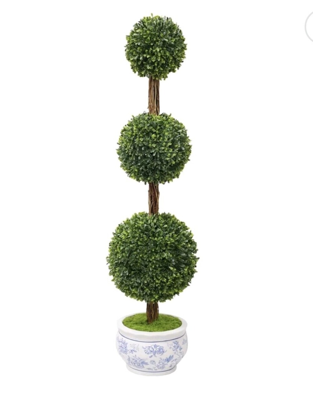 💕  New Topiary in  Decorative Agatha Blue & White Pot